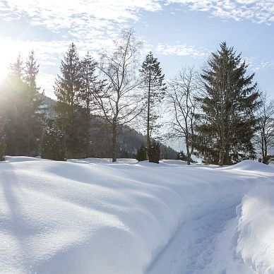 Der Lärchenhof Winter