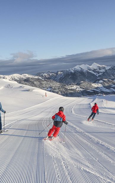 Vier Skifahrer fahren bei sonnigem Wetter auf präparierten Pisten mit malerischen schneebedeckten Bergen im Hintergrund. Perfekte Bedingungen für Wintersport.